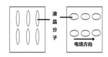 圖三  液晶分子的工作原理.jpg