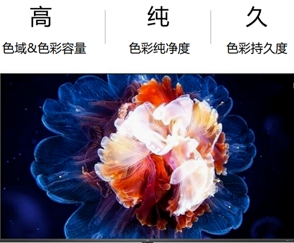 色彩高純久-4.png