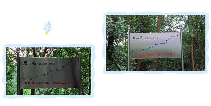 朝山頂進(jìn)發(fā).png