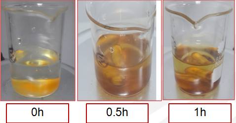 氟化物與水反應(yīng)后粉體顏色變化圖.jpg
