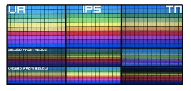 5-TN、VA、IPS圖.jpg