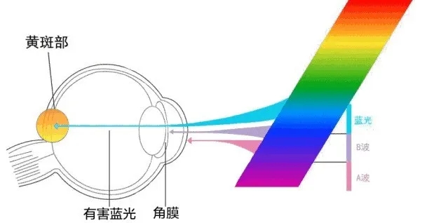 LED發(fā)光源中藍光.jpg