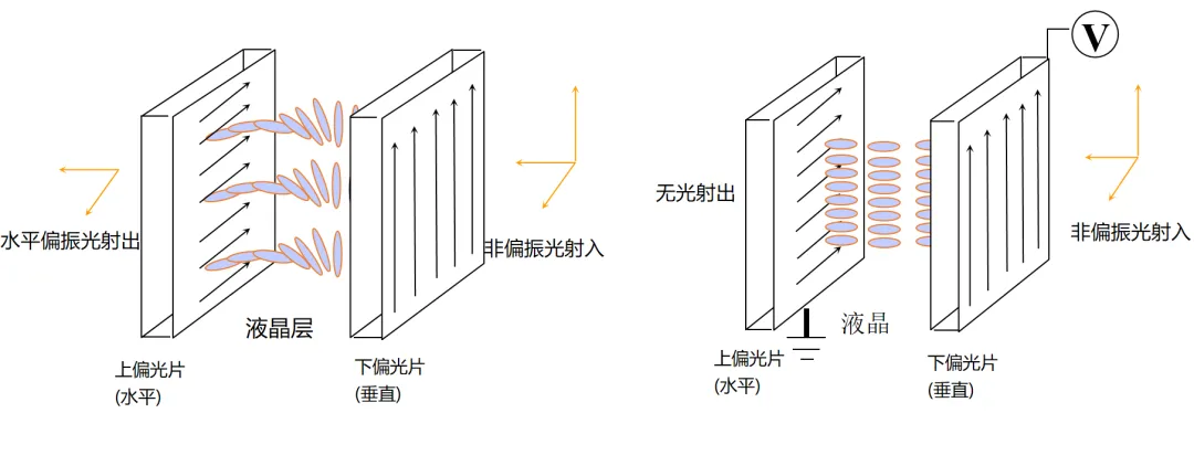 TN模式LCD顯示原理.jpg