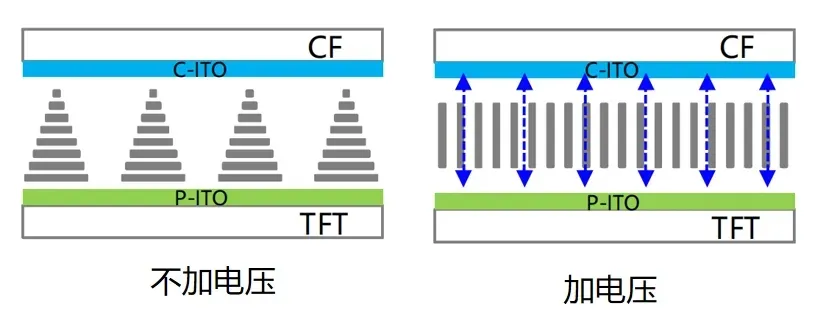 TN模式LCD電場方向.jpg