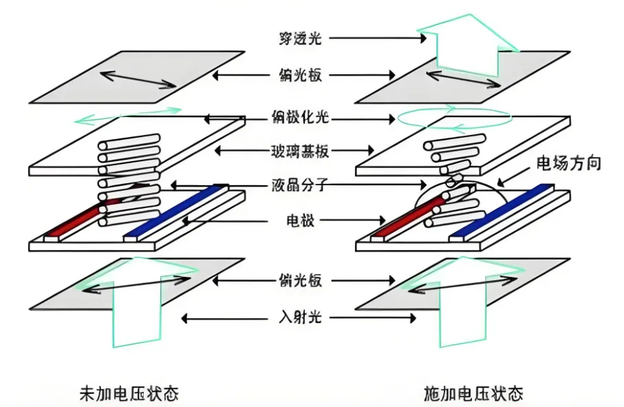 IPS模式 LCD 顯示原理.jpg